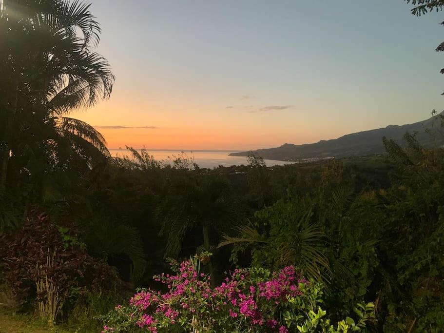 Bungalow Avec Vue Dans Lieu Calme Le Carbet Buitenkant foto